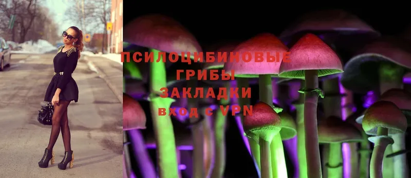 Галлюциногенные грибы MAGIC MUSHROOMS  нарко площадка телеграм  Знаменск 